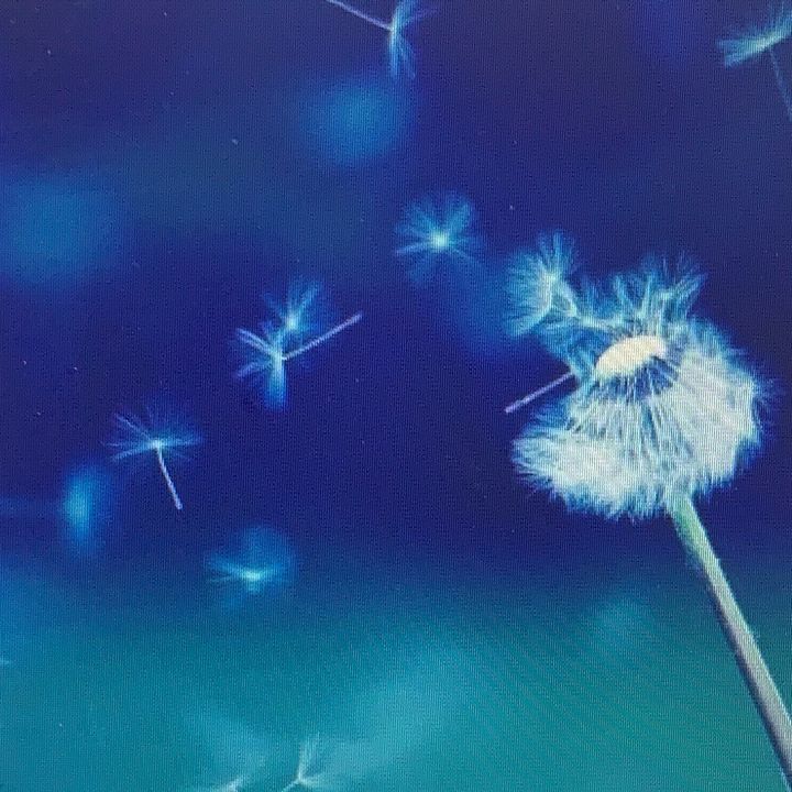 you