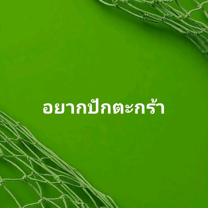 ติดตามมาติดตามกลับอยากปักตะกร้