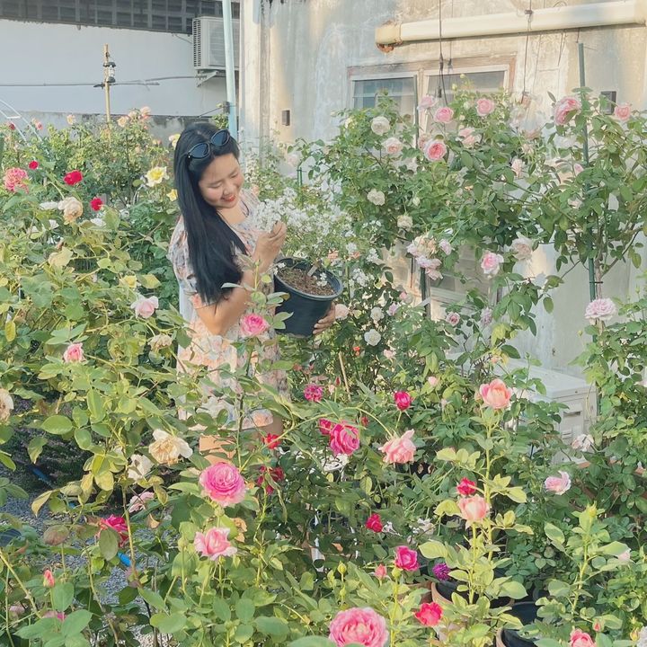 Far kankanit🌹