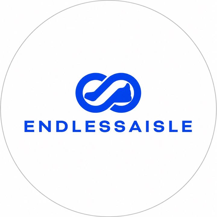 Theendlessexperience