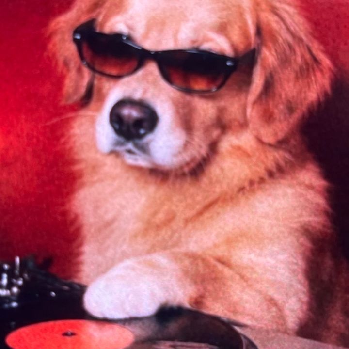 Music zxcvg888