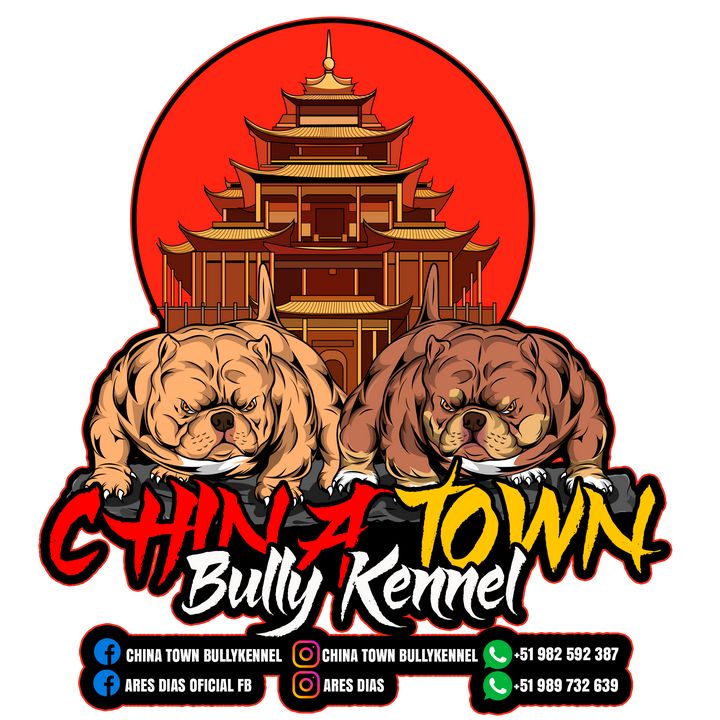 CHINATOWN BULLY KENNEL