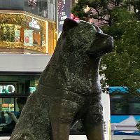 毎日SHIBUYA
