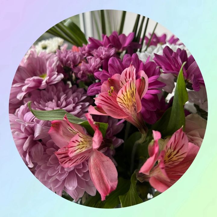 🌺