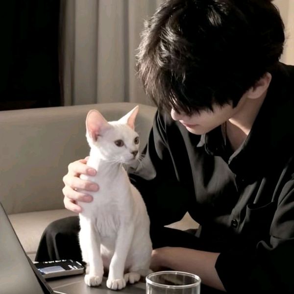 น้องหมาชวนดู