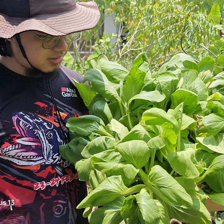 MiniKebun Tranung
