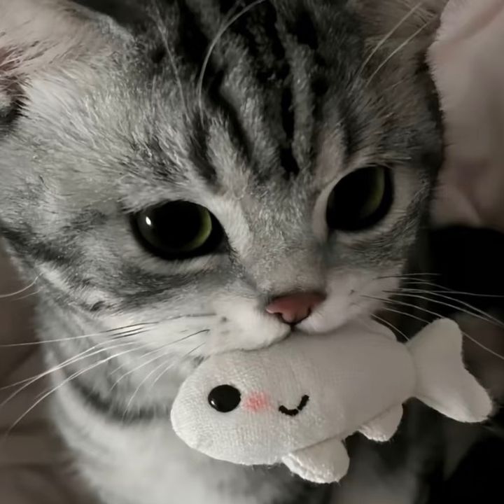 tabitha_857