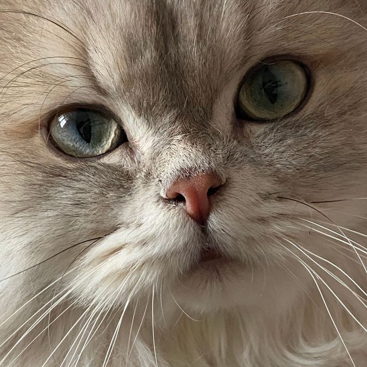 Achadinhos_Lala