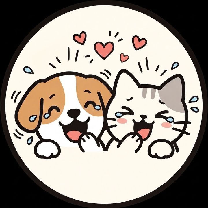 わんにゃん動画館🐾