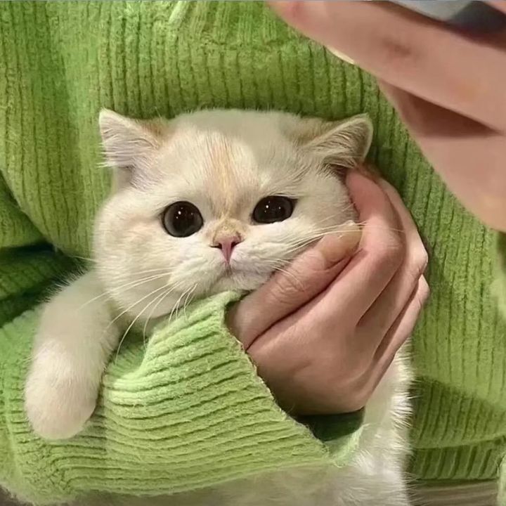 gggwwwe