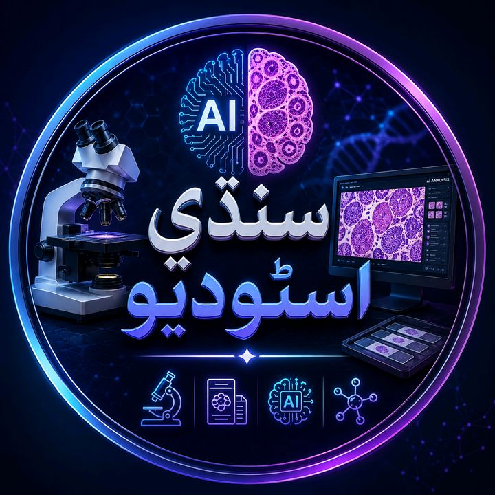 🎥سنڌي اسٽوڊيو📺