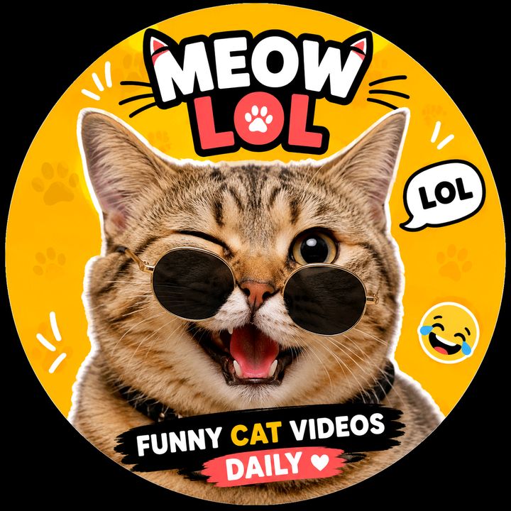 Crazy Cat Clips
