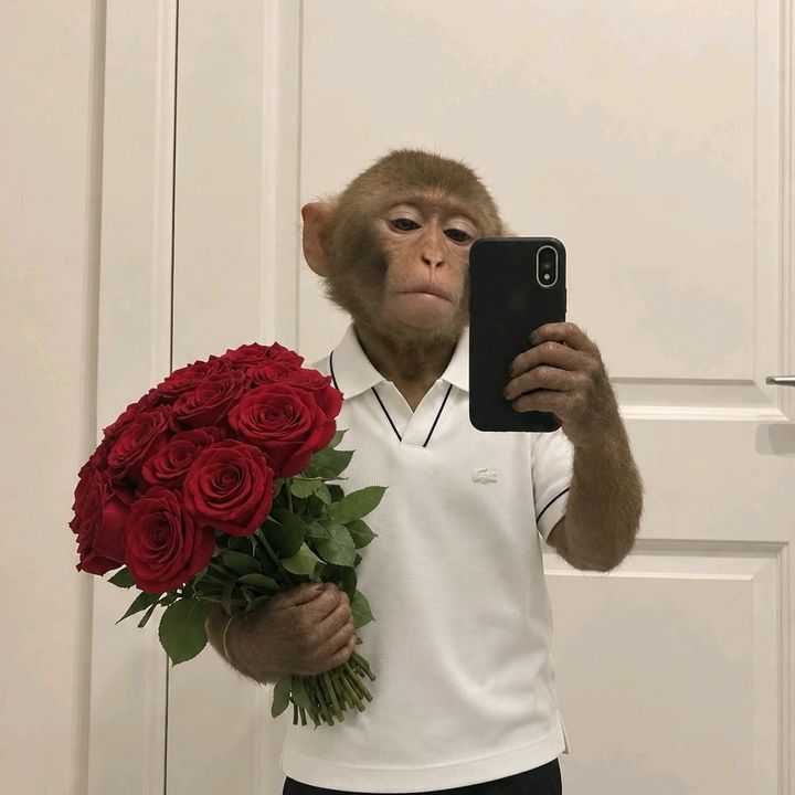 ..........