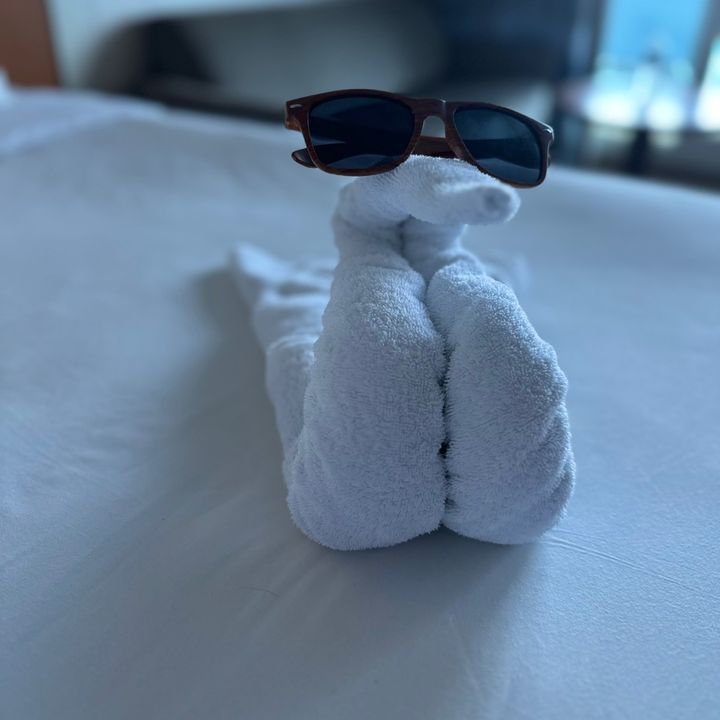 The Cruise Doctor🛳️ TTS | UGC