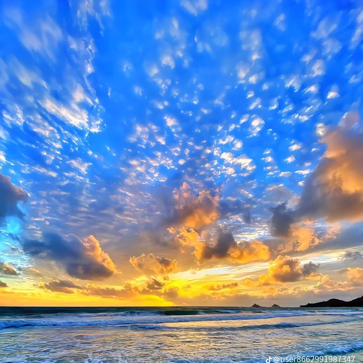 七海