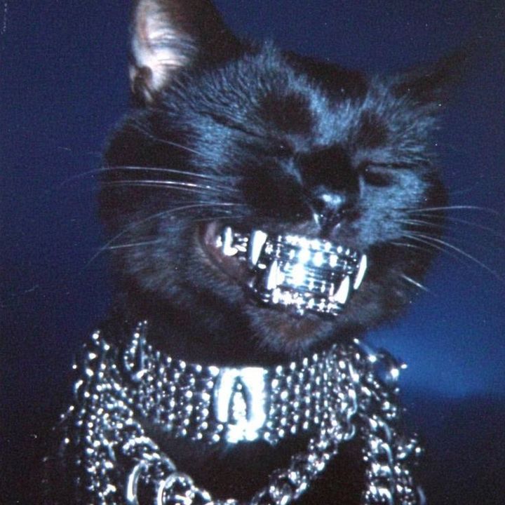 𝕿𝖍𝖗𝖎𝖑𝖑𝖎𝖚𝖒