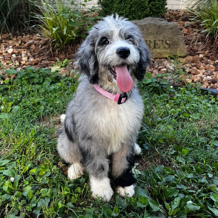 ellie mae 🐾
