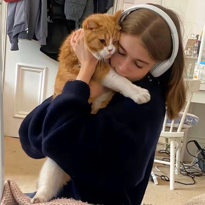 Amira