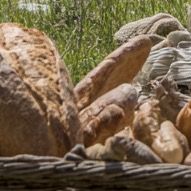 finneanl