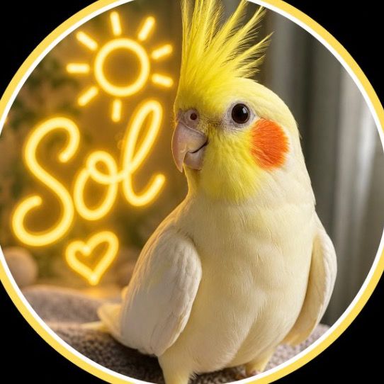 Sol