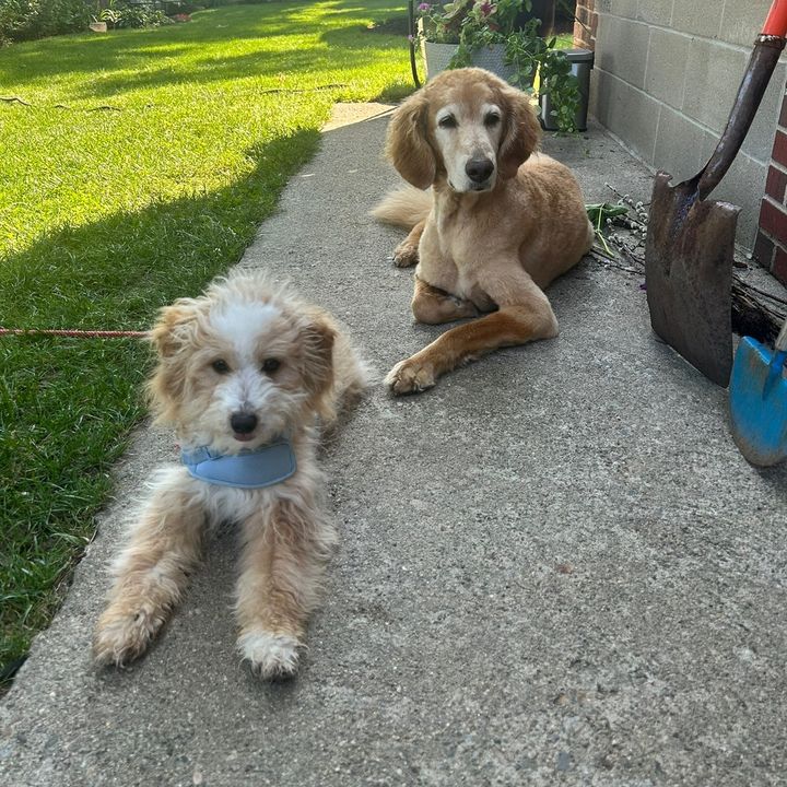Ruby+Morgan The Doodles