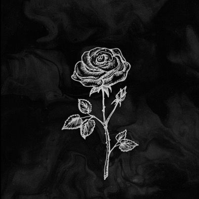 __ChesterAxOff🤍🖤_