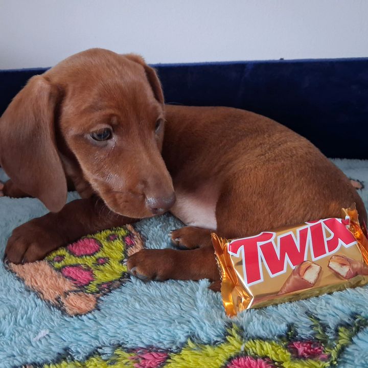 Twix