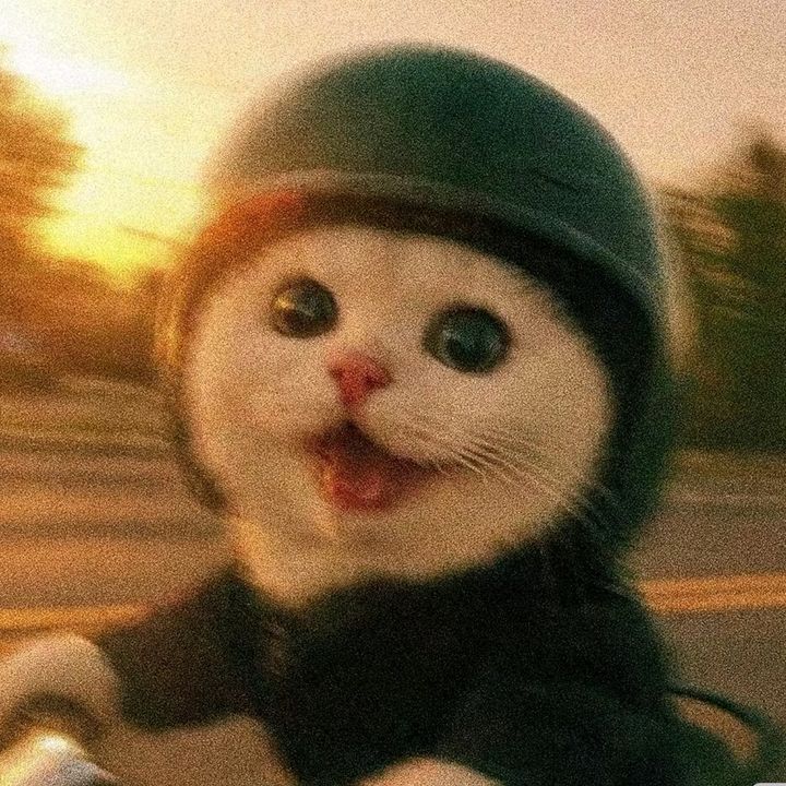 隠れお洒落な人