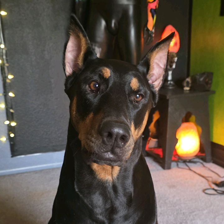 Jax Aaron