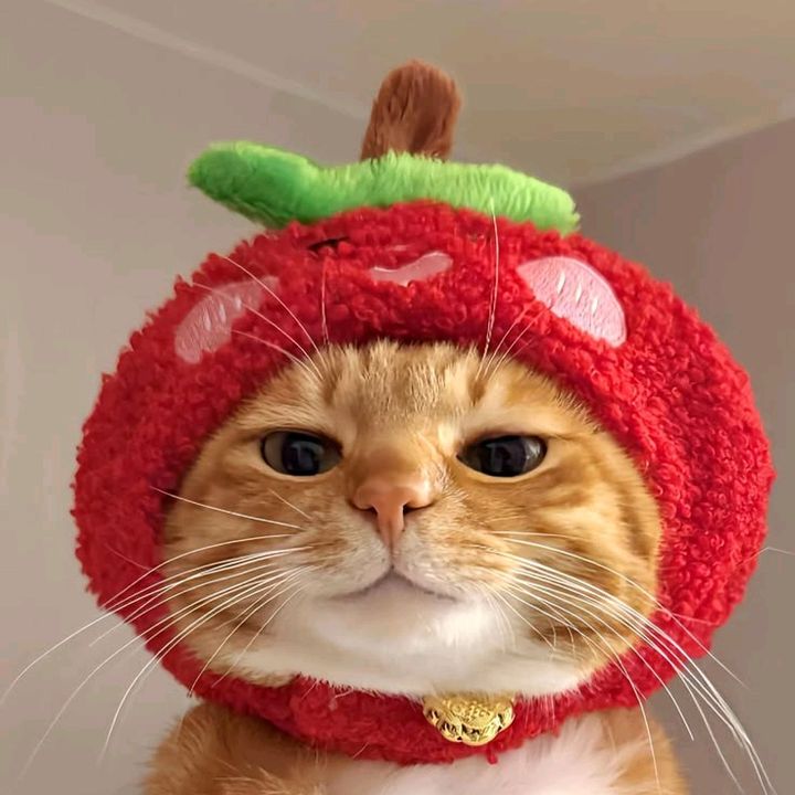 nnngggt