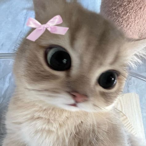 littlemissfinds 𝜗ৎ