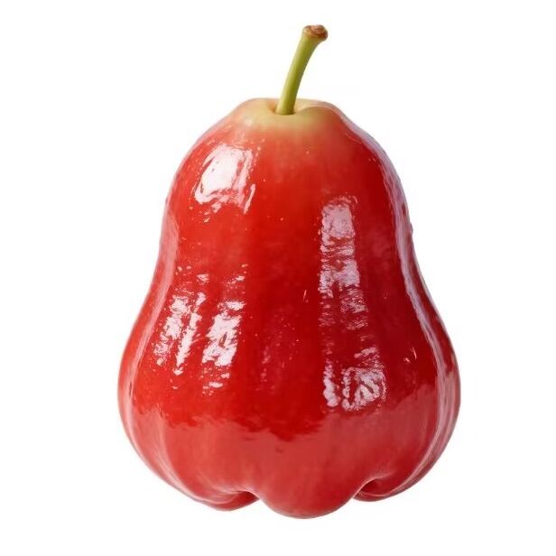 紅蓮霧