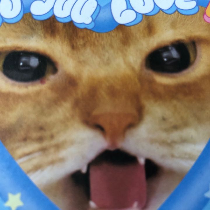 aoki_sui