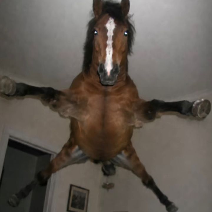 CrazYHorse