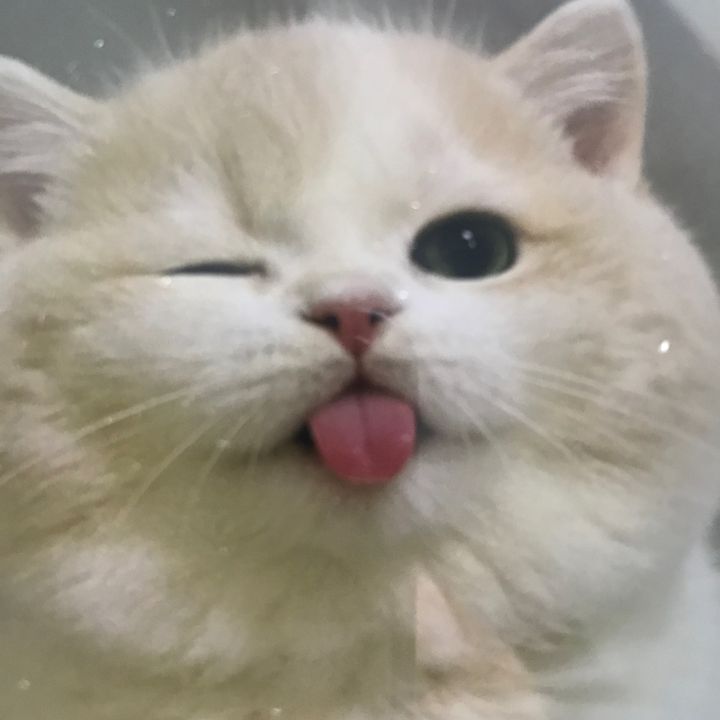 fsatui
