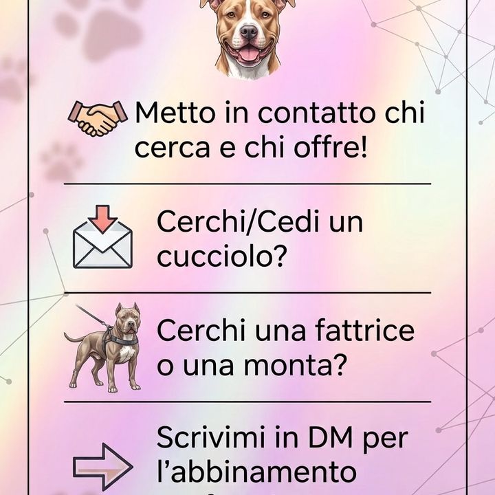 I cucciolotti 🐾