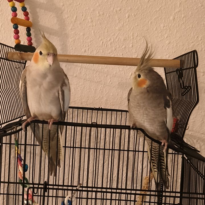 somos Tiki&Taka 🐣