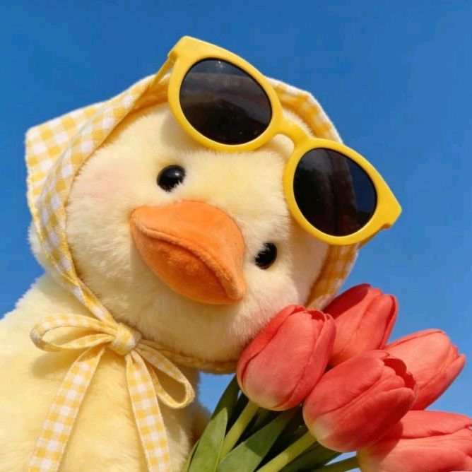 𝓶𝓲𝓼𝓽