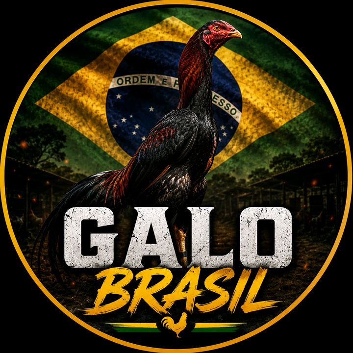 Galos Brasil