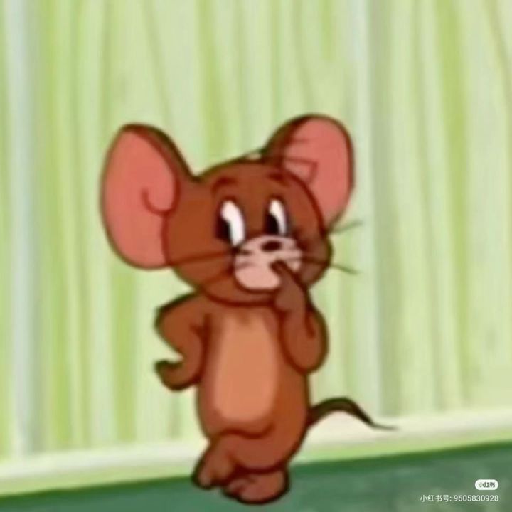 tiktokniche