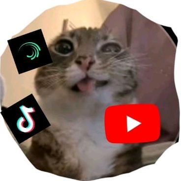 fatzz aja