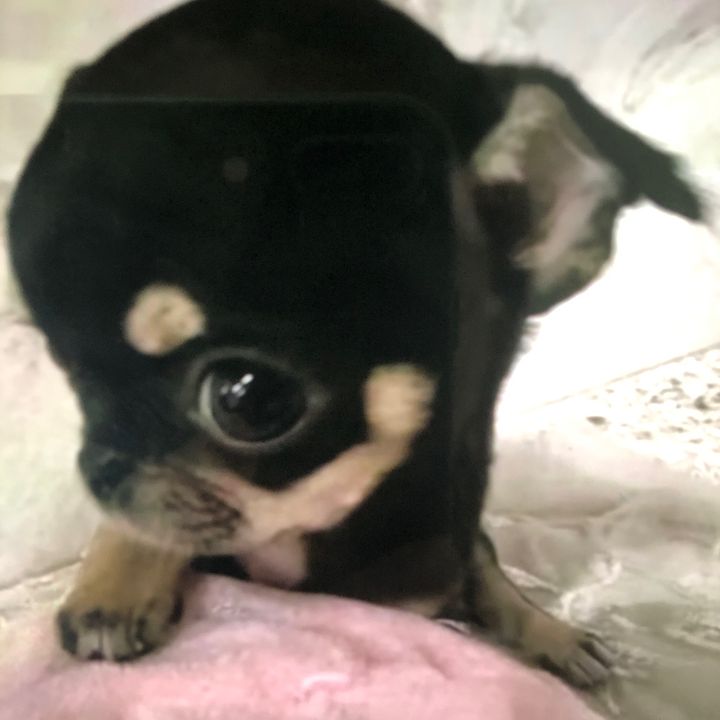 kirby booty