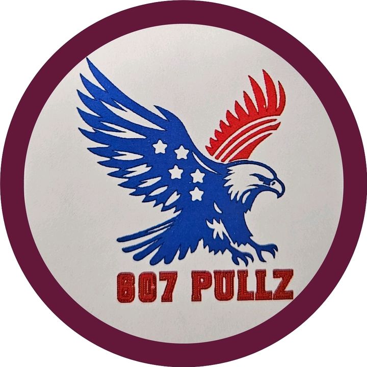 607 Pullz Backup