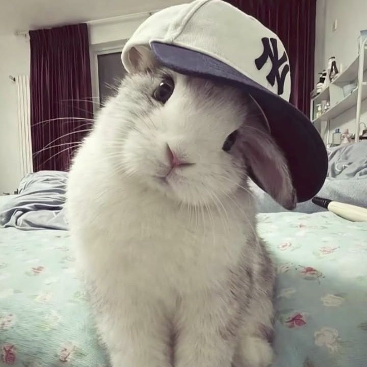 mel