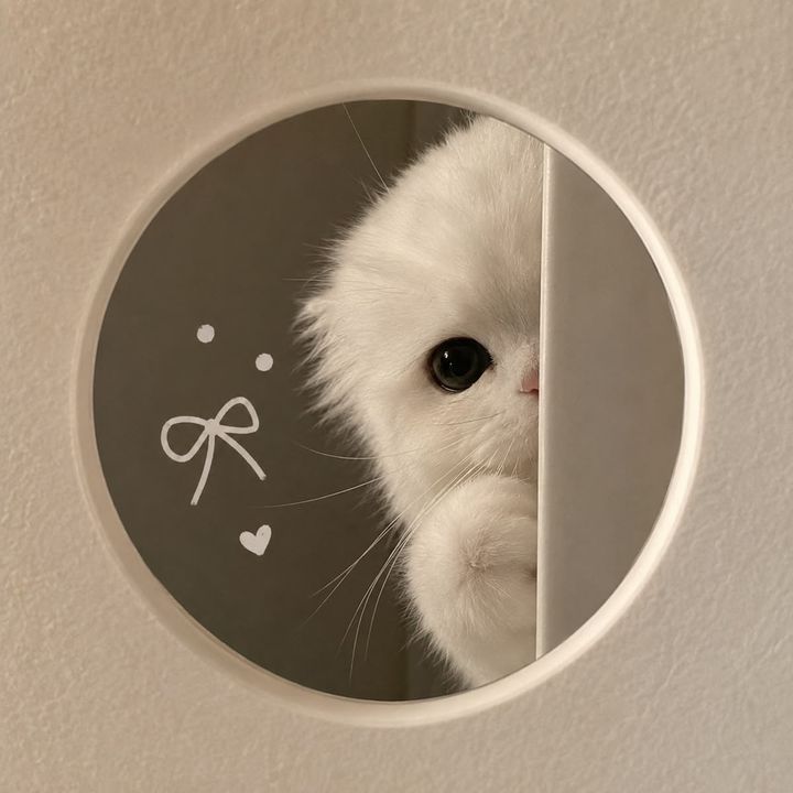 Lauren Finds ᵕ̈