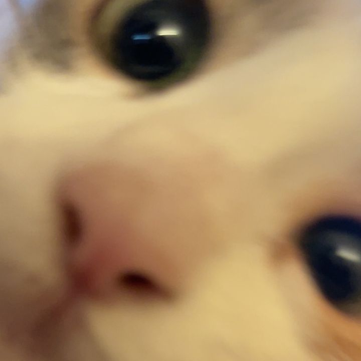ainexo1