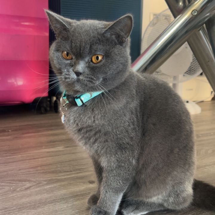 Stormi