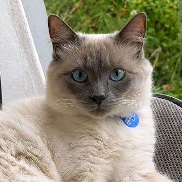 Miro