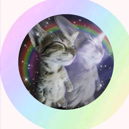 ★꧂🅷🅰🅻🅸★꧂