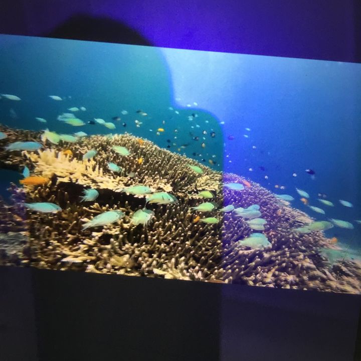 fui